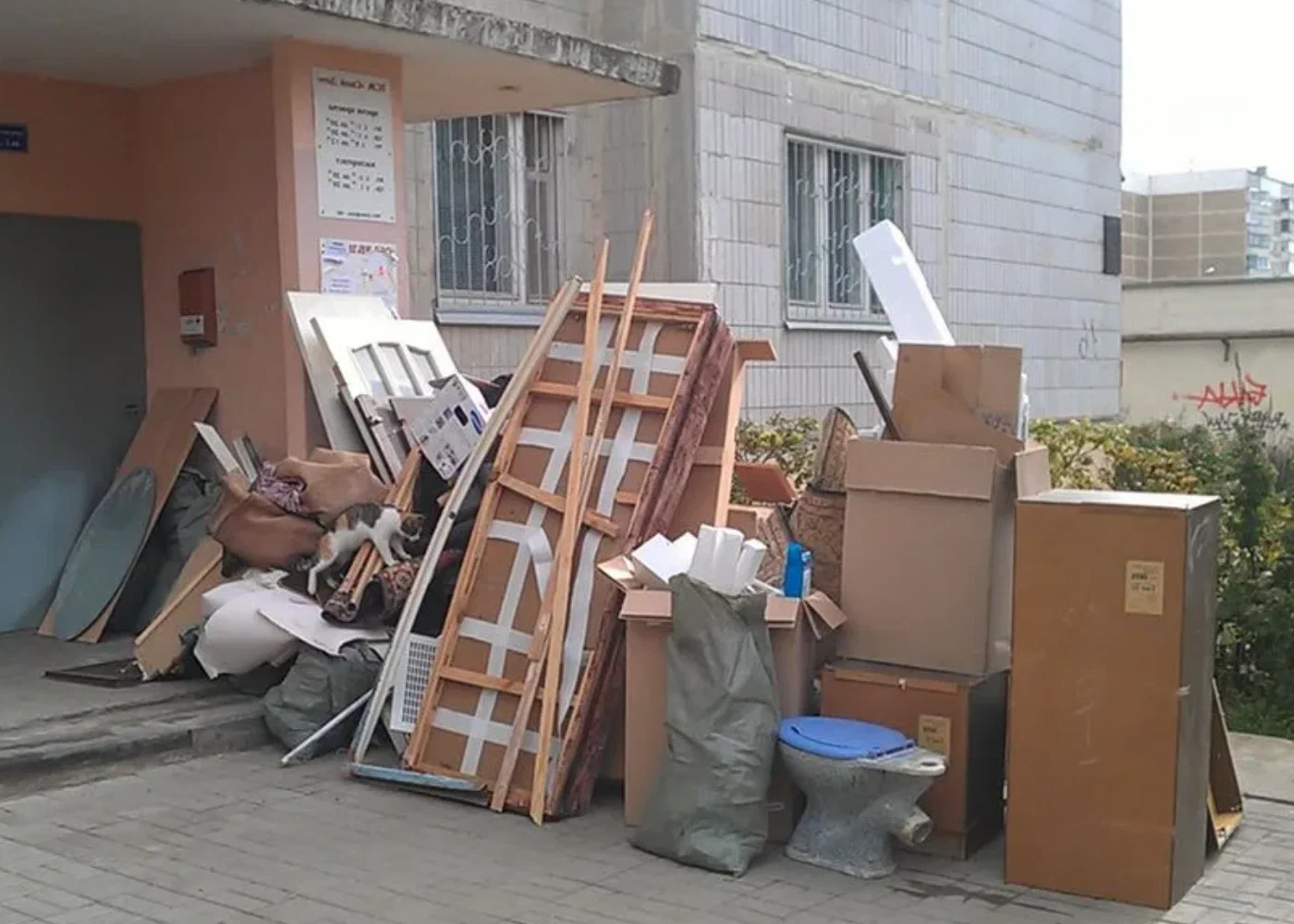 Профессиональный вывоз мусора из квартиры в Кирове-Чепецке в октябре