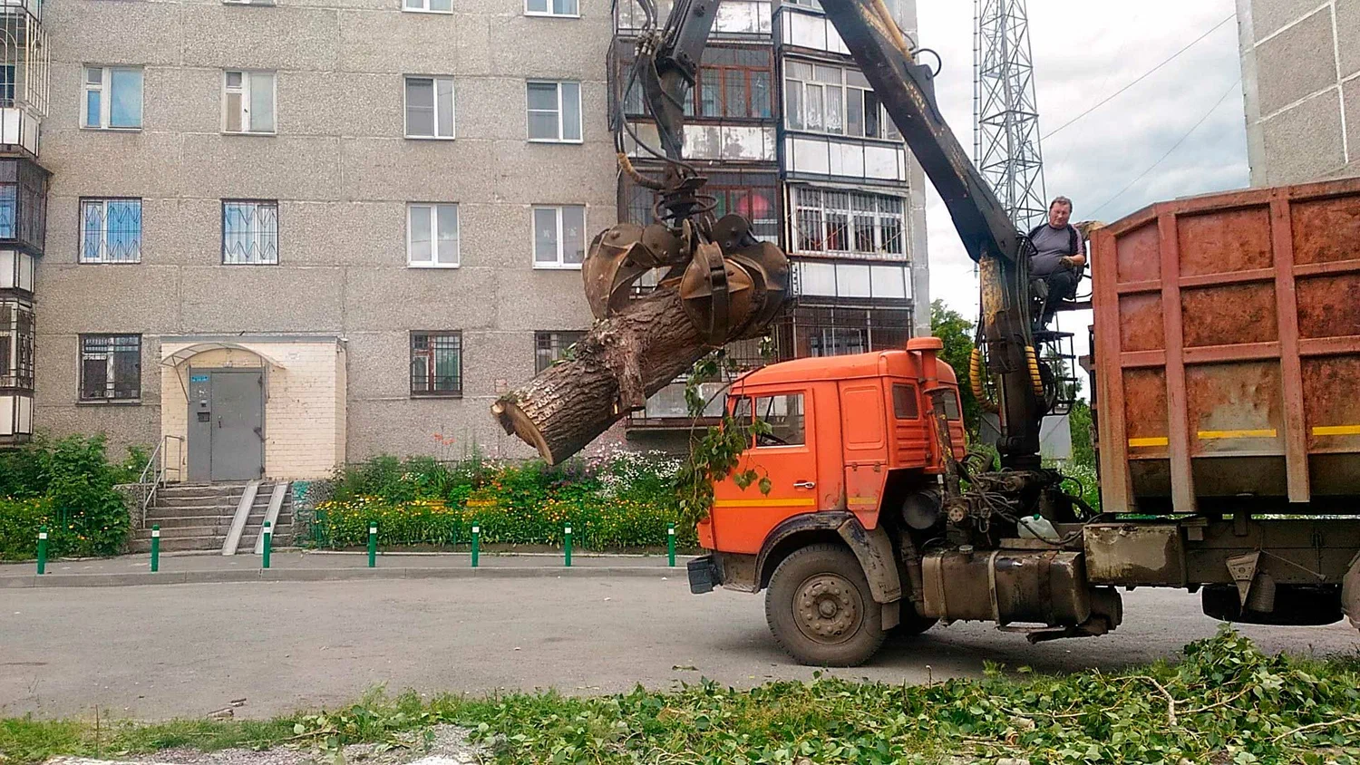 Вывоз спиленных веток и деревьев в Кирове-Чепецке от ПроМусор: порубочные остатки, утилизация, цена от 3153 руб