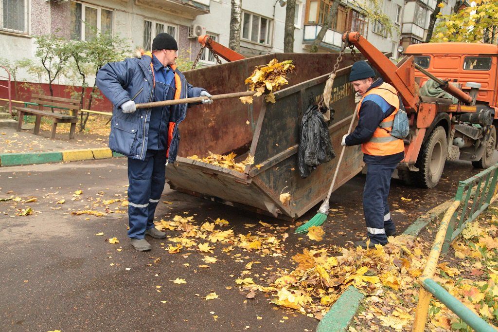 Вывоз опавшей листвы и растительного мусора в Кирове-Чепецке от ПроМусор – цена от 4893 руб., быстрая уборка и утилизация